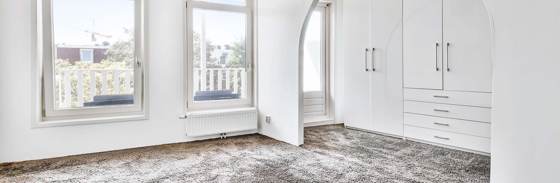 Make your house into a minimalist green garden